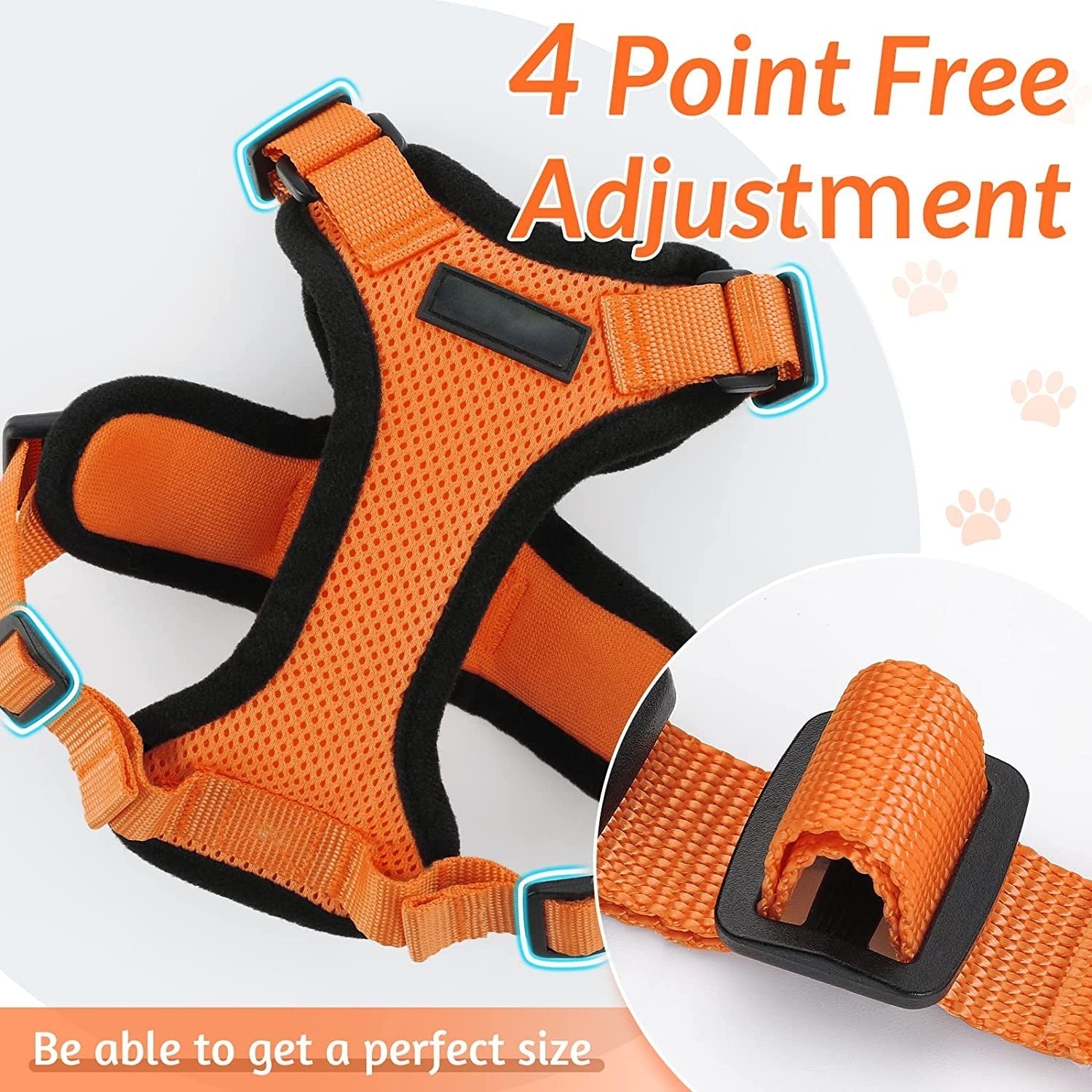 Cat Harness and Leash