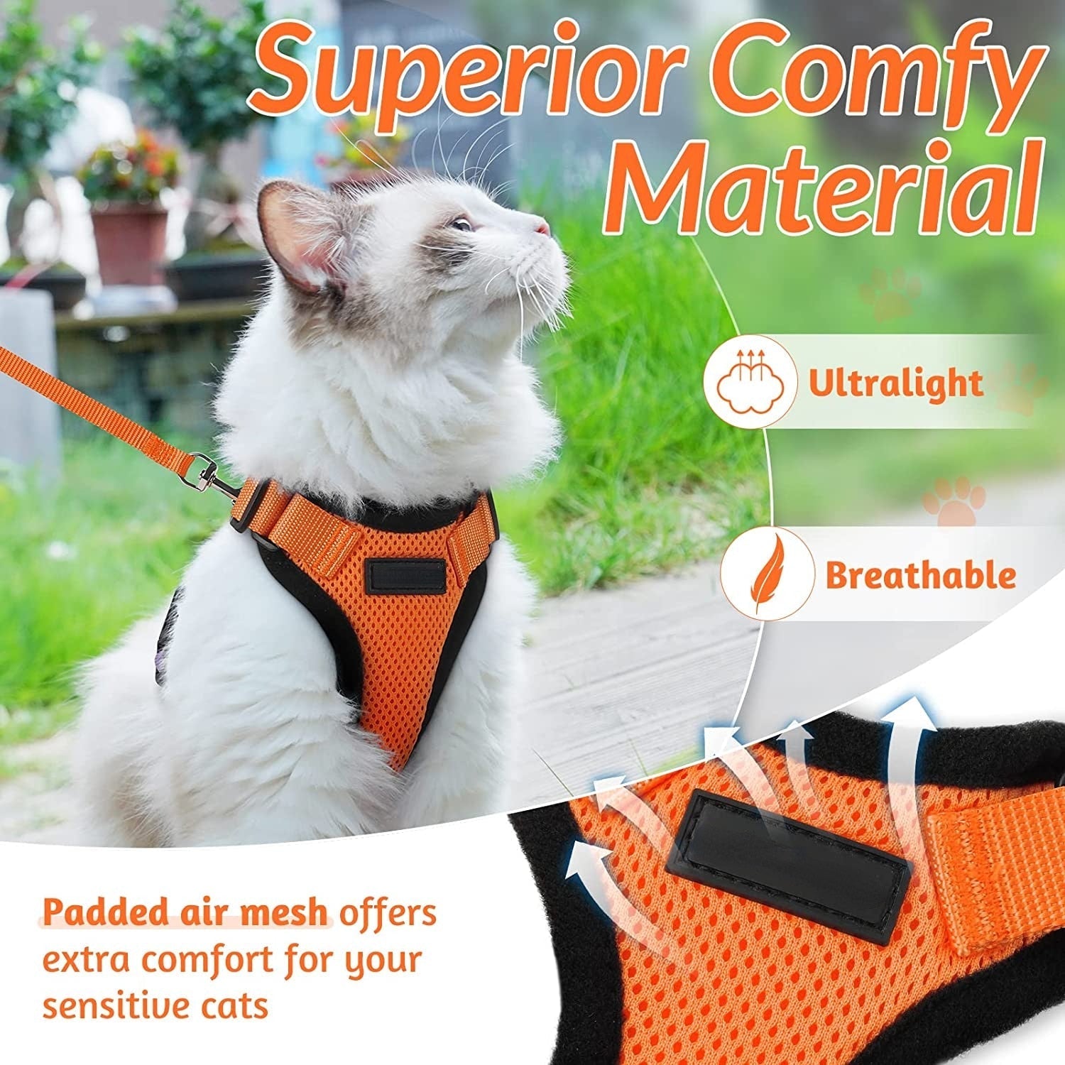Cat Harness and Leash