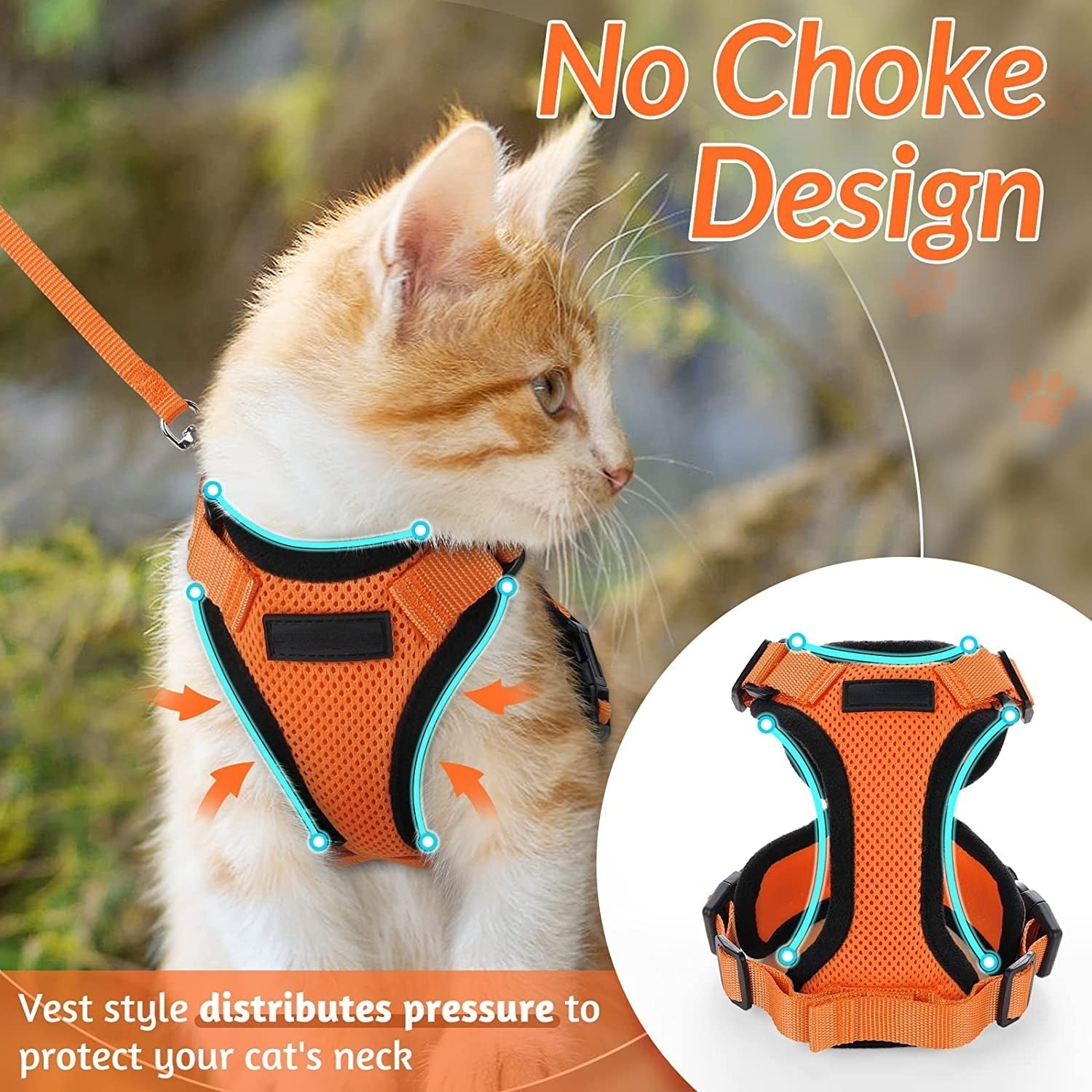 Cat Harness and Leash