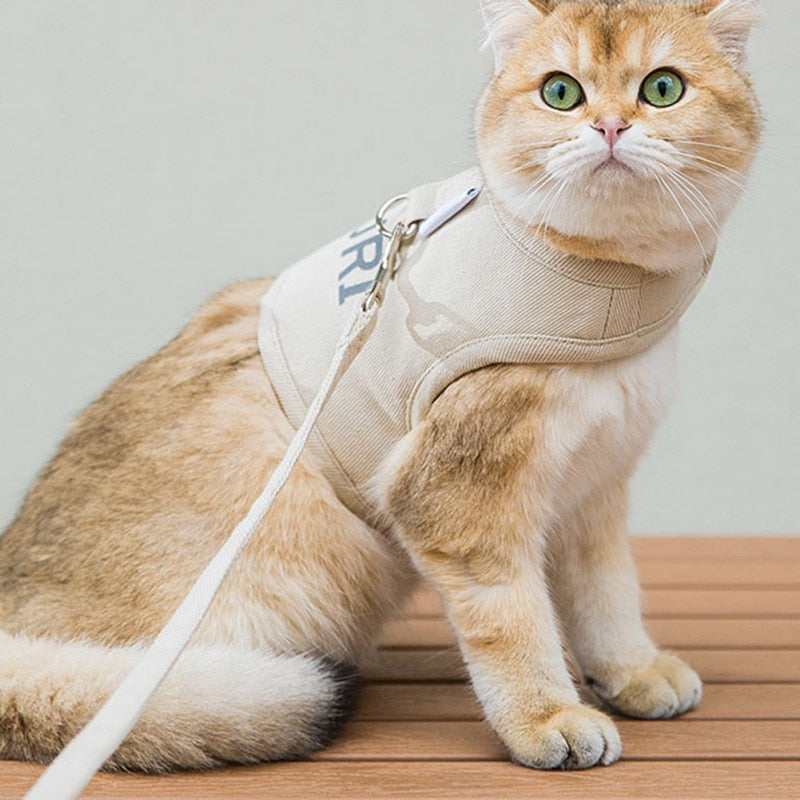 Cat Harness Velcro