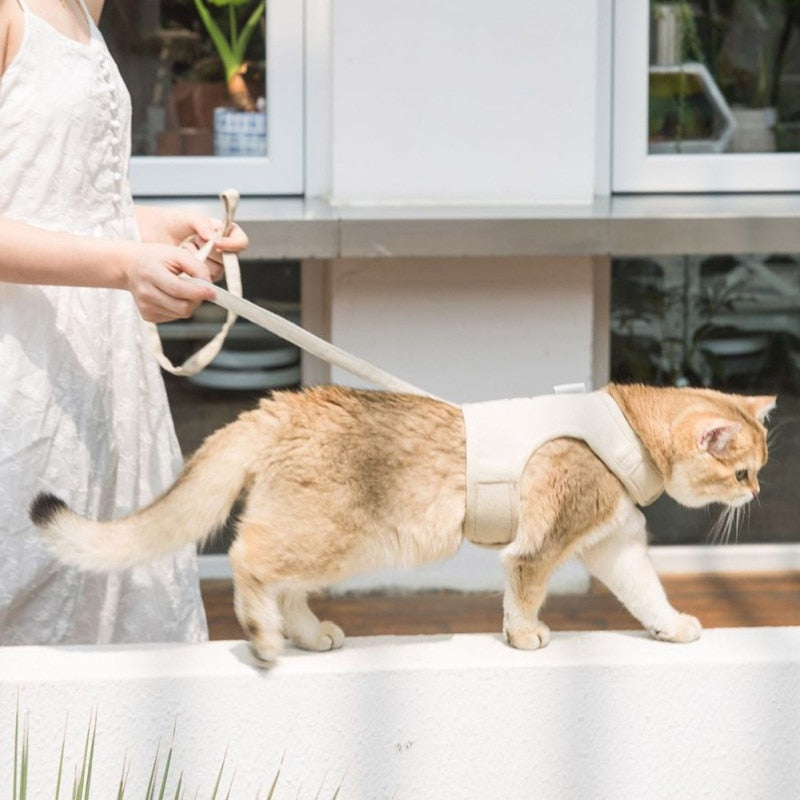 Cat Harness Velcro