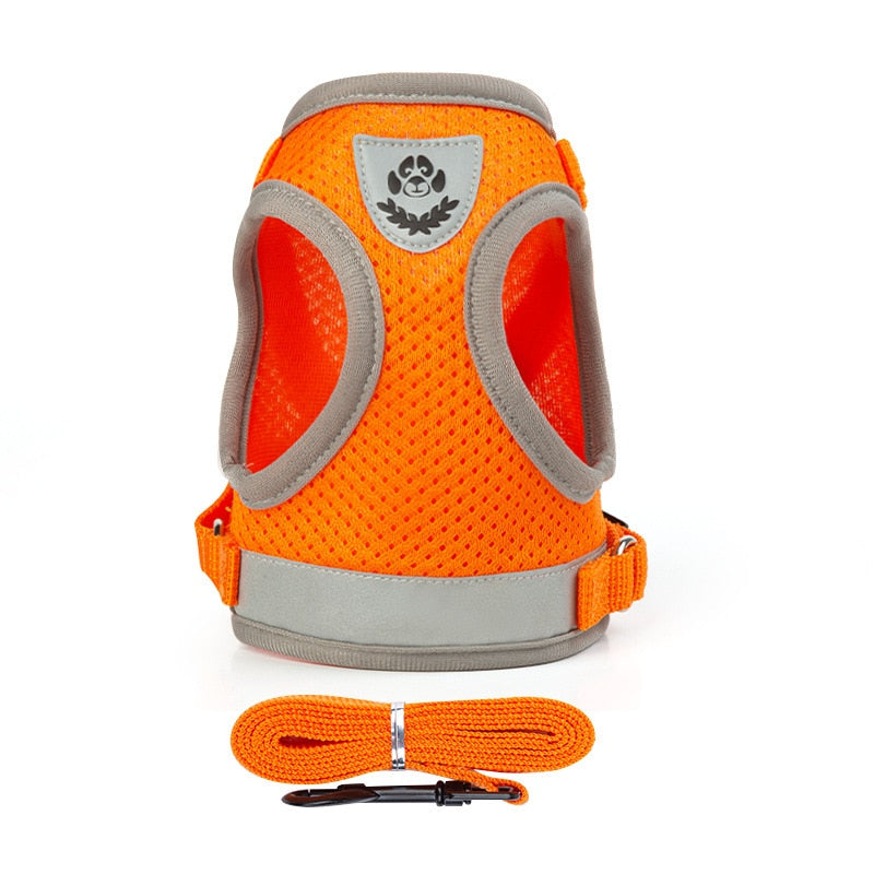 Cat Harness Vest