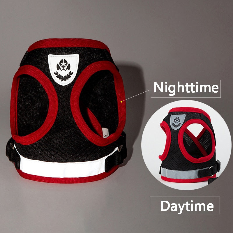 Cat Harness Vest