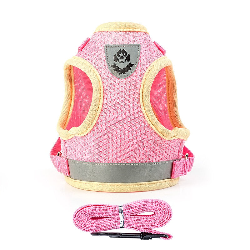 Cat Harness Vest