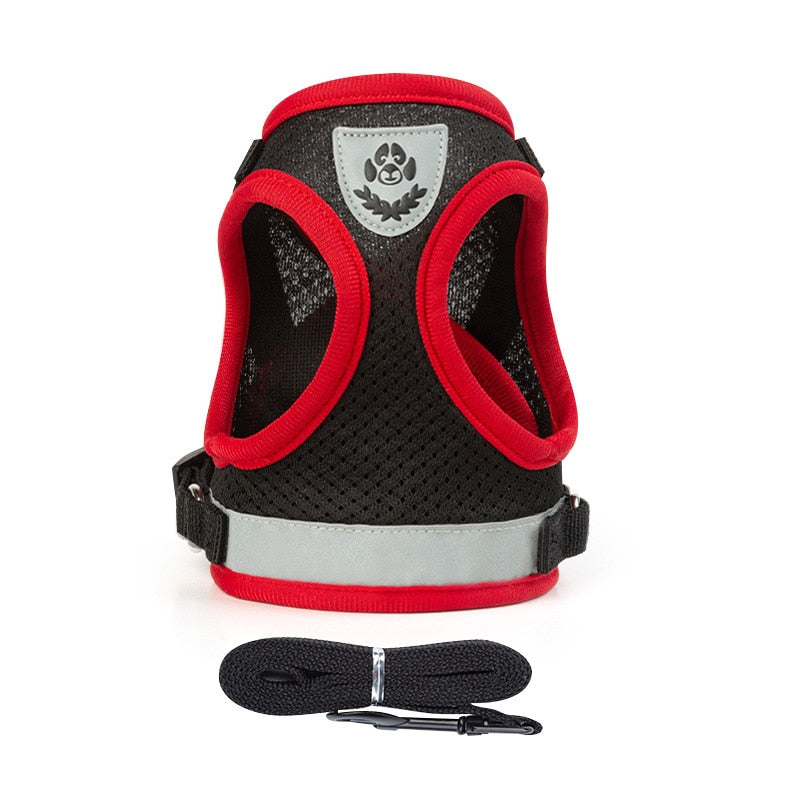 Cat Harness Vest