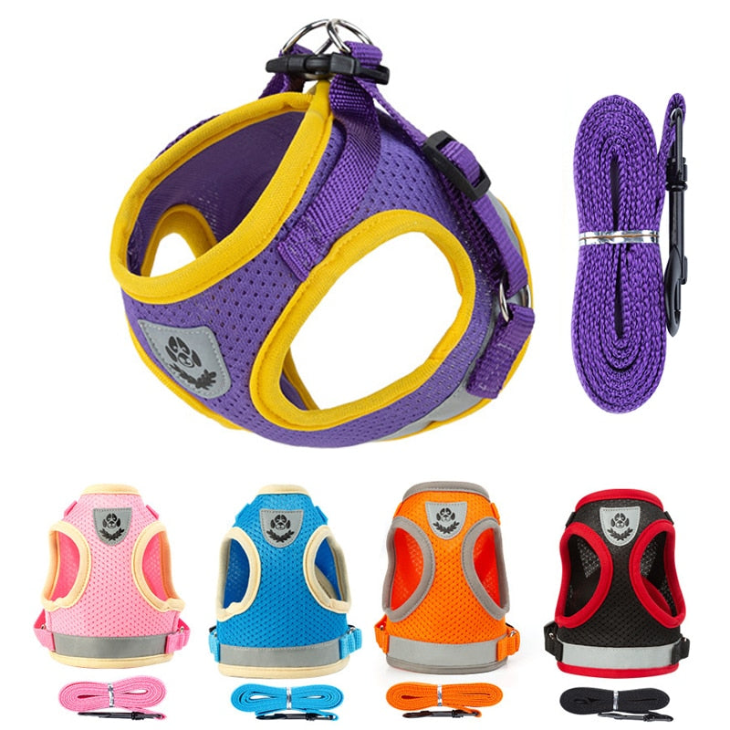 Cat Harness Vest