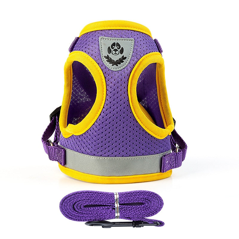 Cat Harness Vest