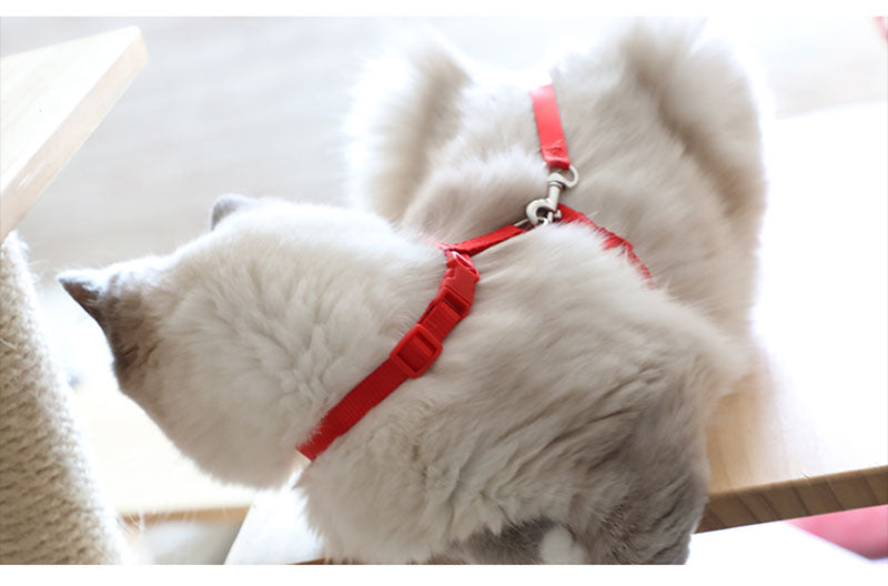 Cat Harness with Neck Buckle