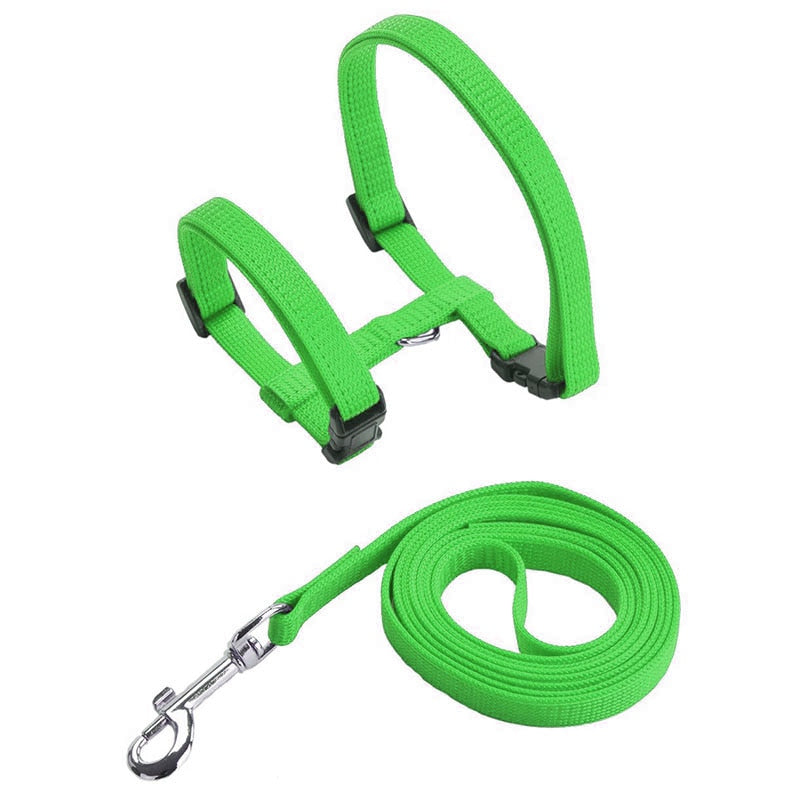 Cat Harness with Neck Buckle