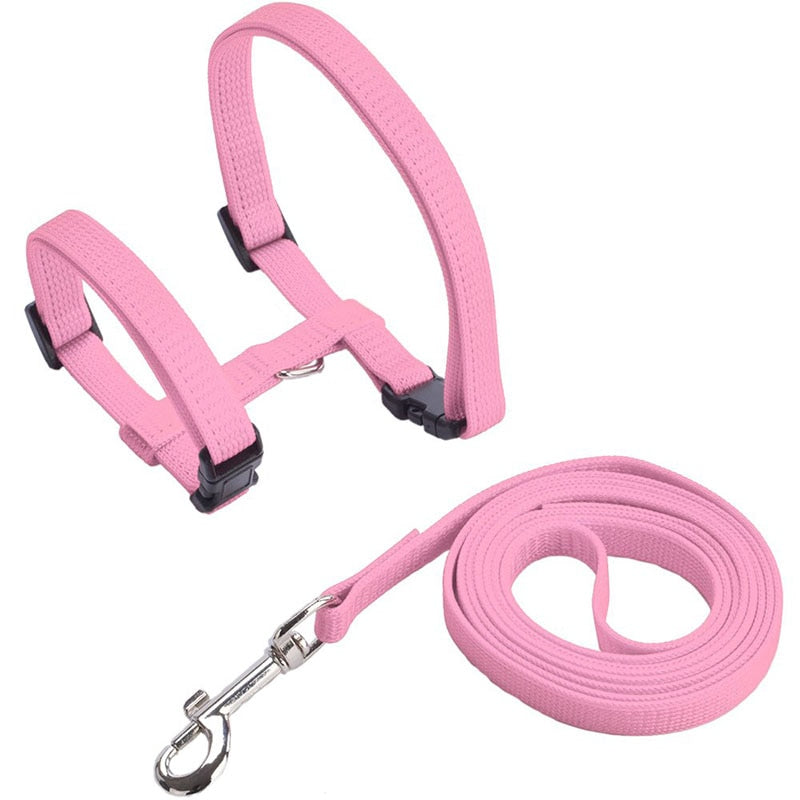 Cat Harness with Neck Buckle