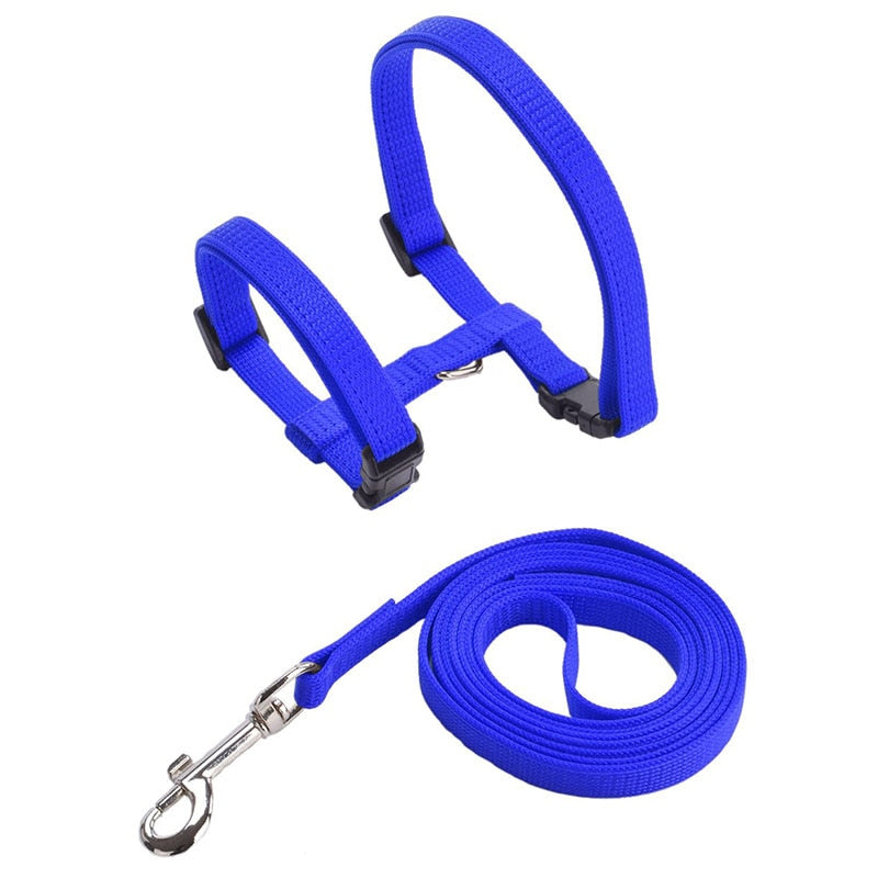 Cat Harness with Neck Buckle