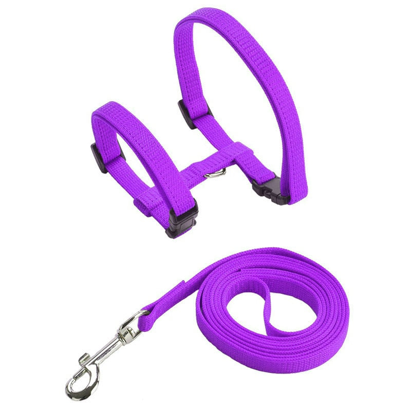 Cat Harness with Neck Buckle