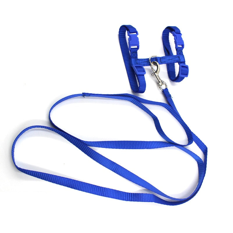 Cat Harness with Neck Buckle