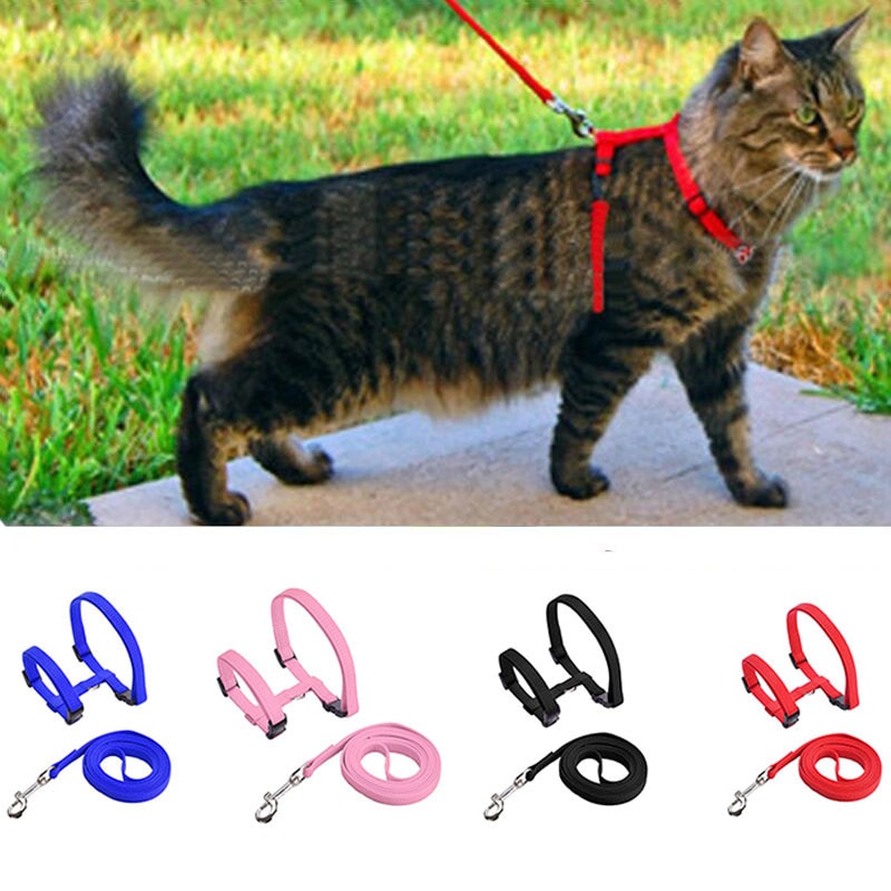 Cat Harness with Neck Buckle