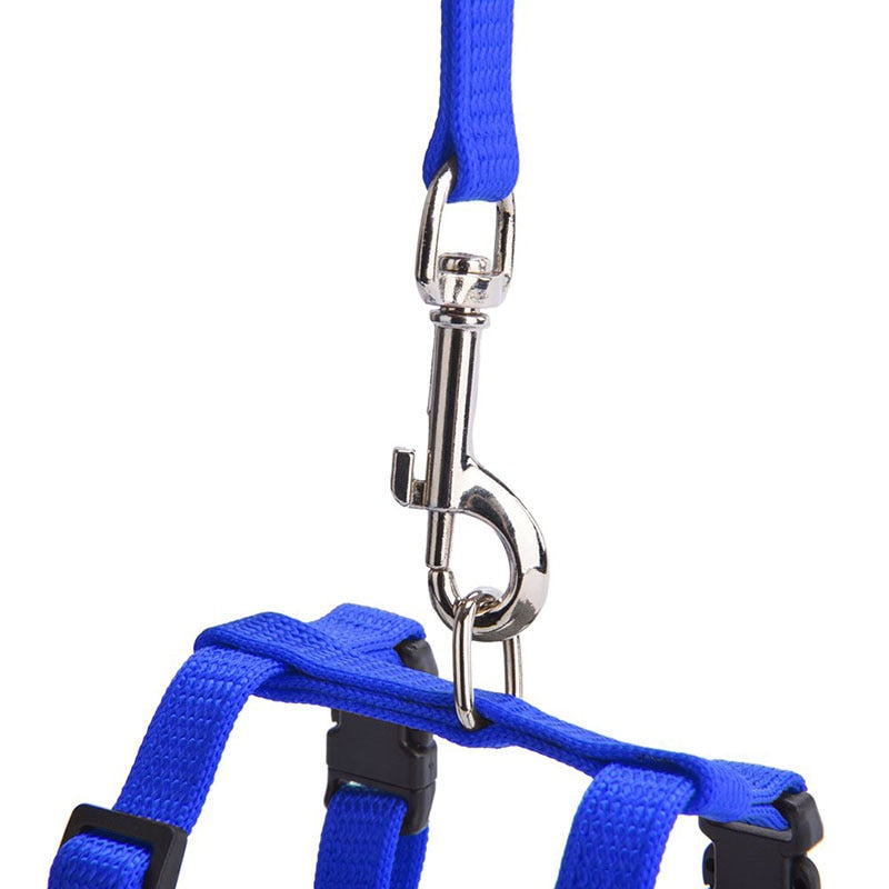 Cat Harness with Neck Buckle