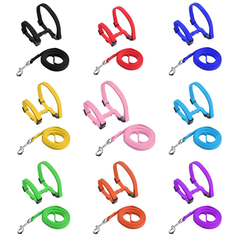 Cat Harness with Neck Buckle