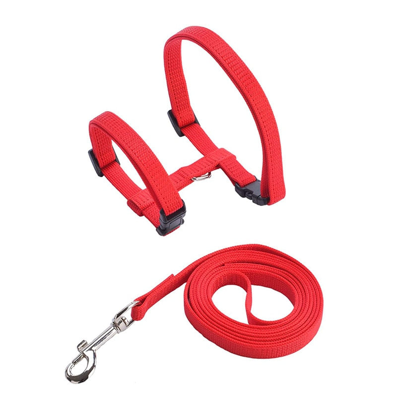 Cat Harness with Neck Buckle
