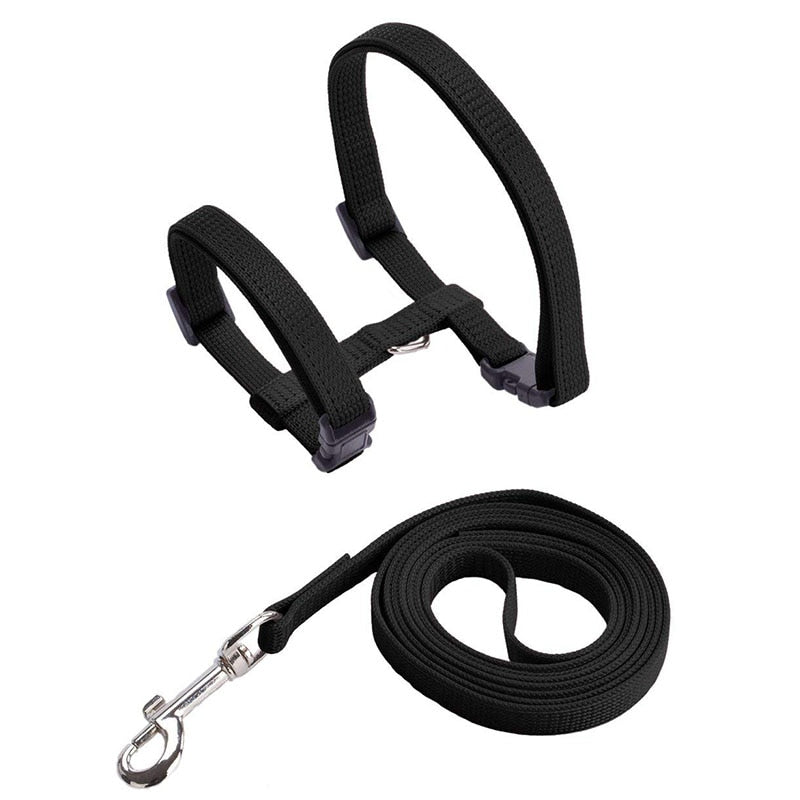 Cat Harness with Neck Buckle