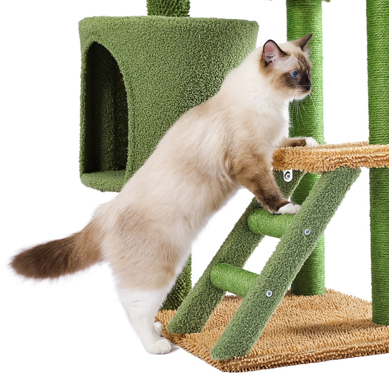 Cat House Scratching Post