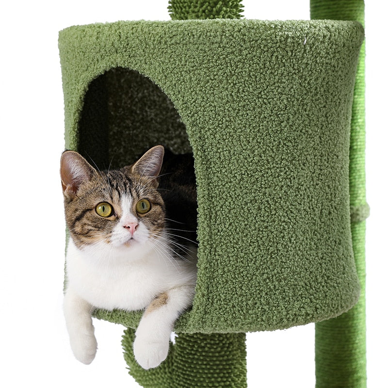 Cat House Scratching Post