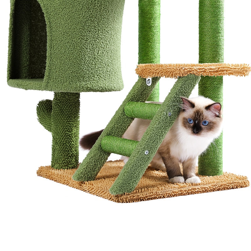 Cat House Scratching Post
