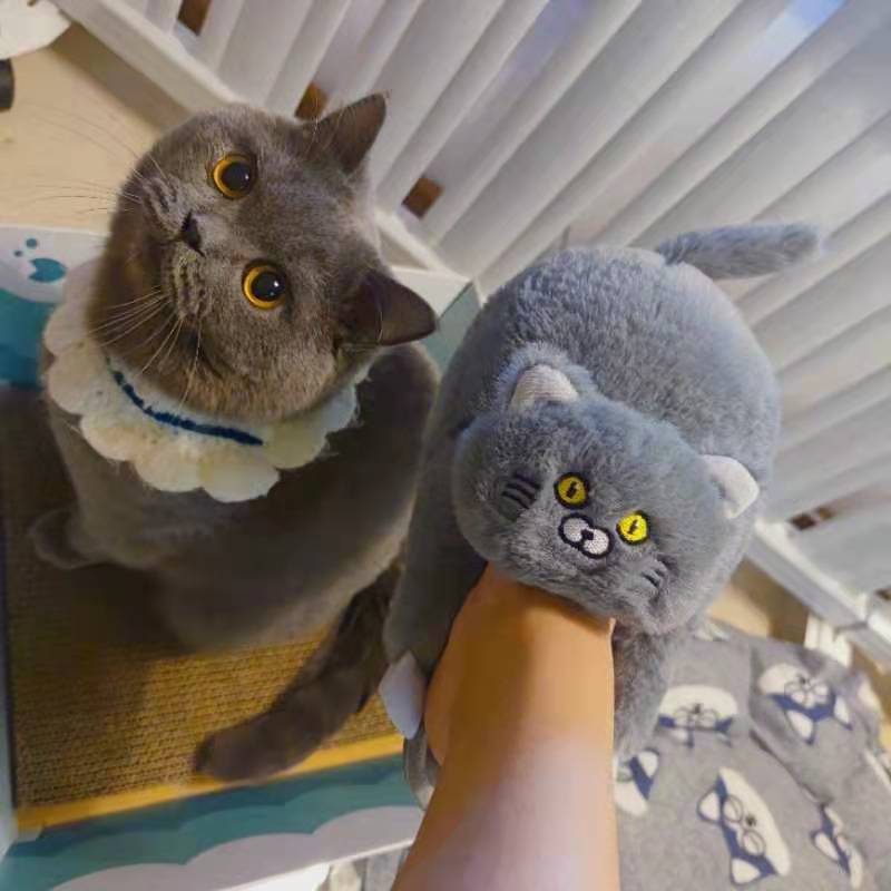 Cat Hug Slippers