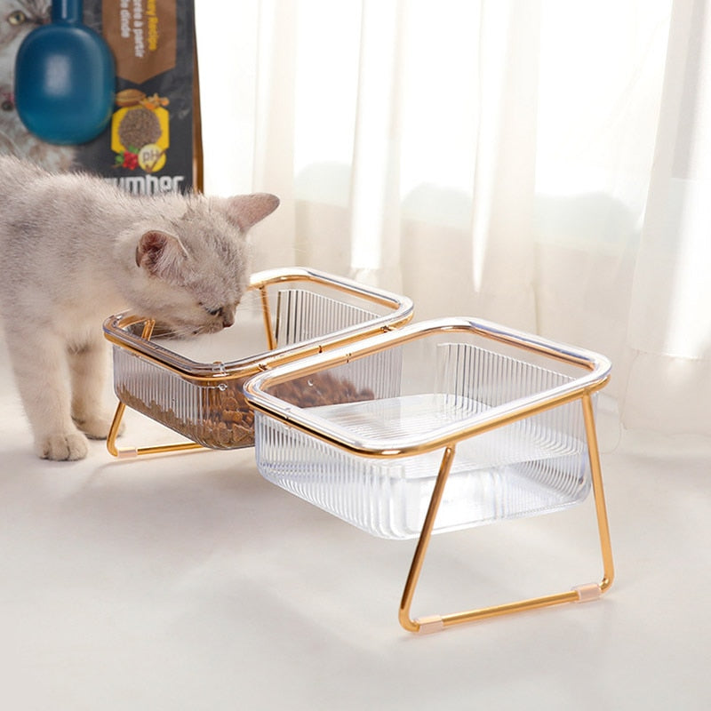 Cat in Glass Bowl