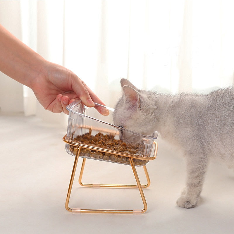 Cat in Glass Bowl