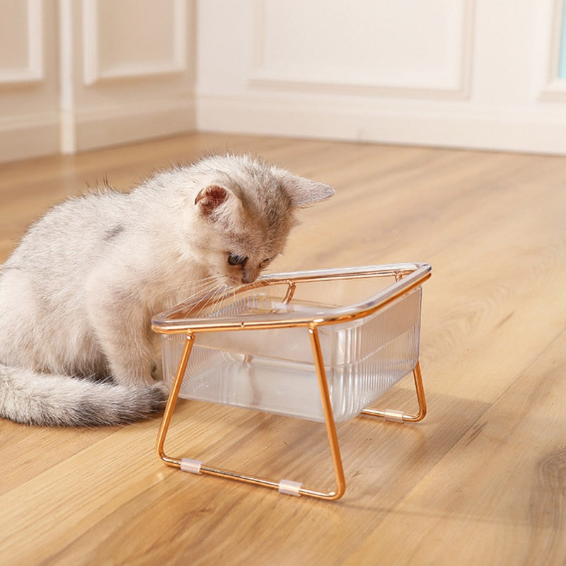 Cat in Glass Bowl