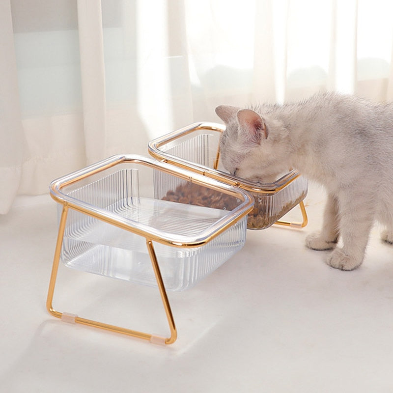 Cat in Glass Bowl