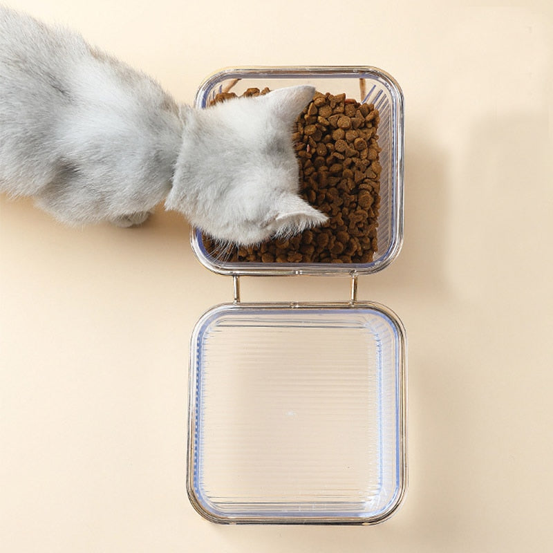 Cat in Glass Bowl