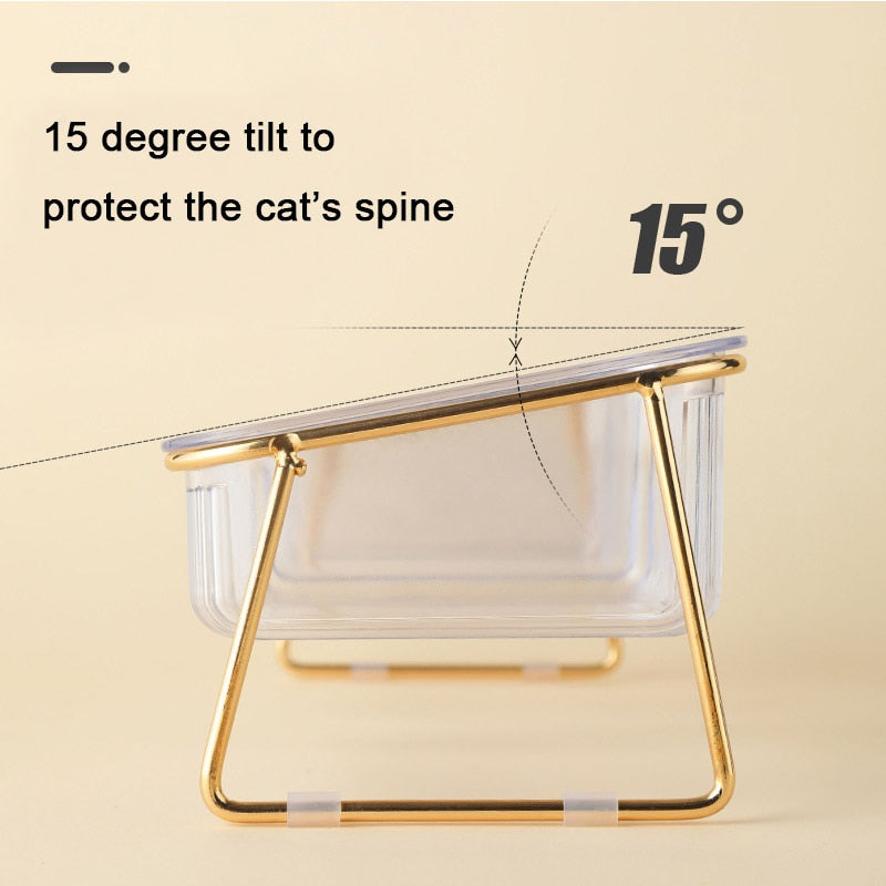 Cat in Glass Bowl