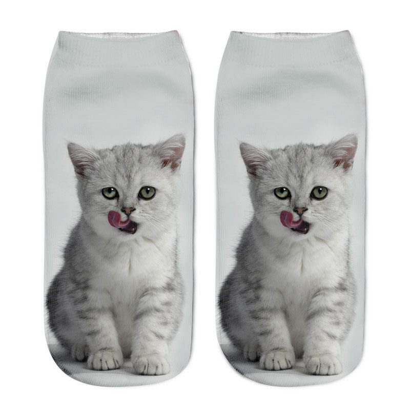 Cat in sock
