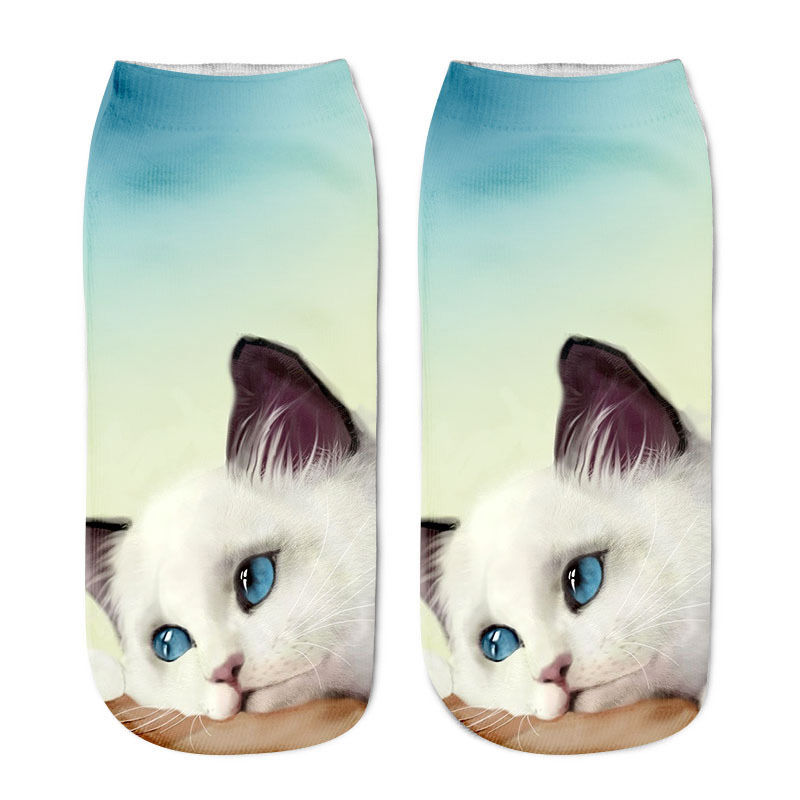 Cat in sock