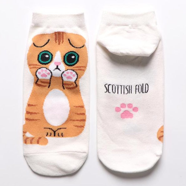 Cat in sock