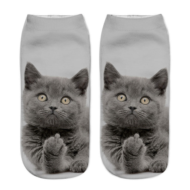 Cat in sock