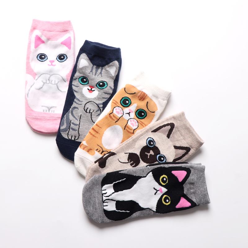 Cat in sock