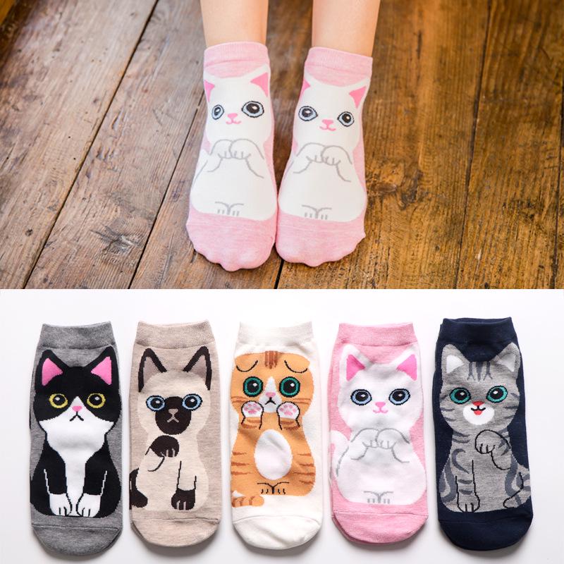 Cat in sock