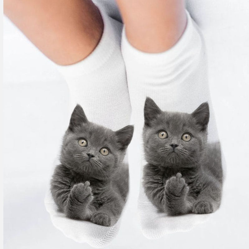 Cat in sock