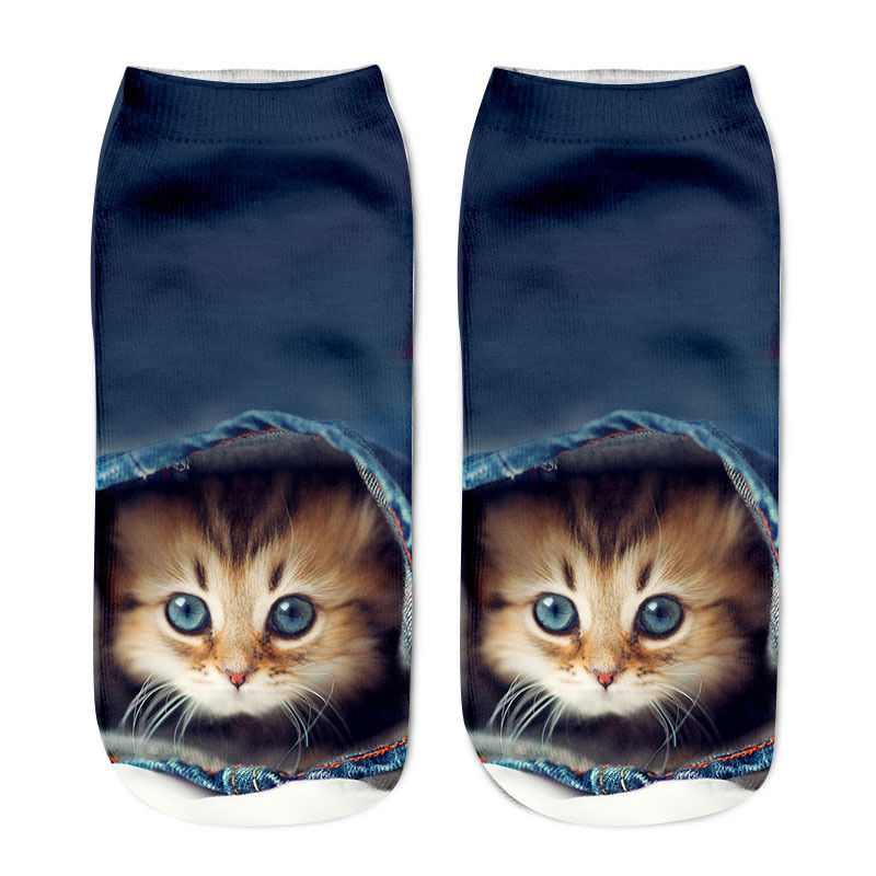 Cat in sock