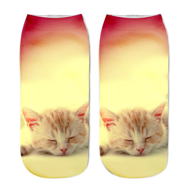 Cat in sock