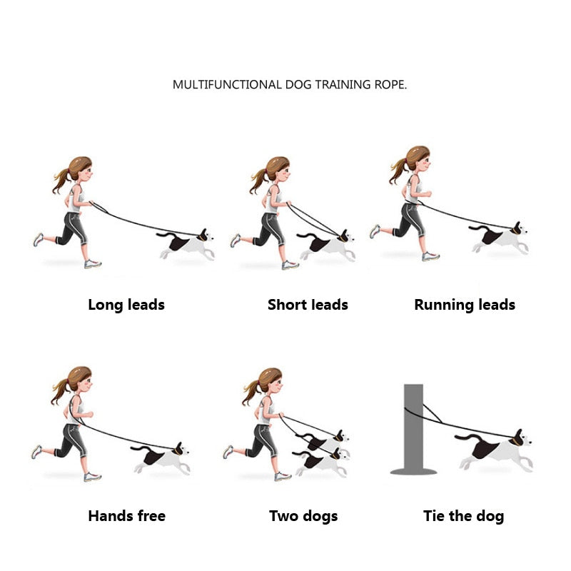 Cat Leash Long