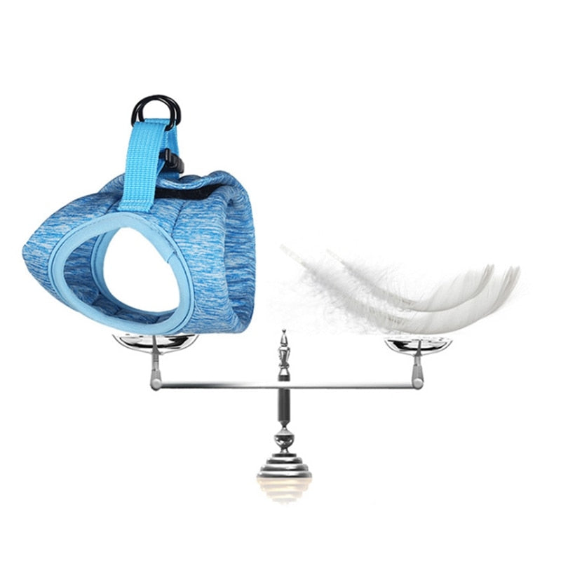 Cat Lightweight Harness