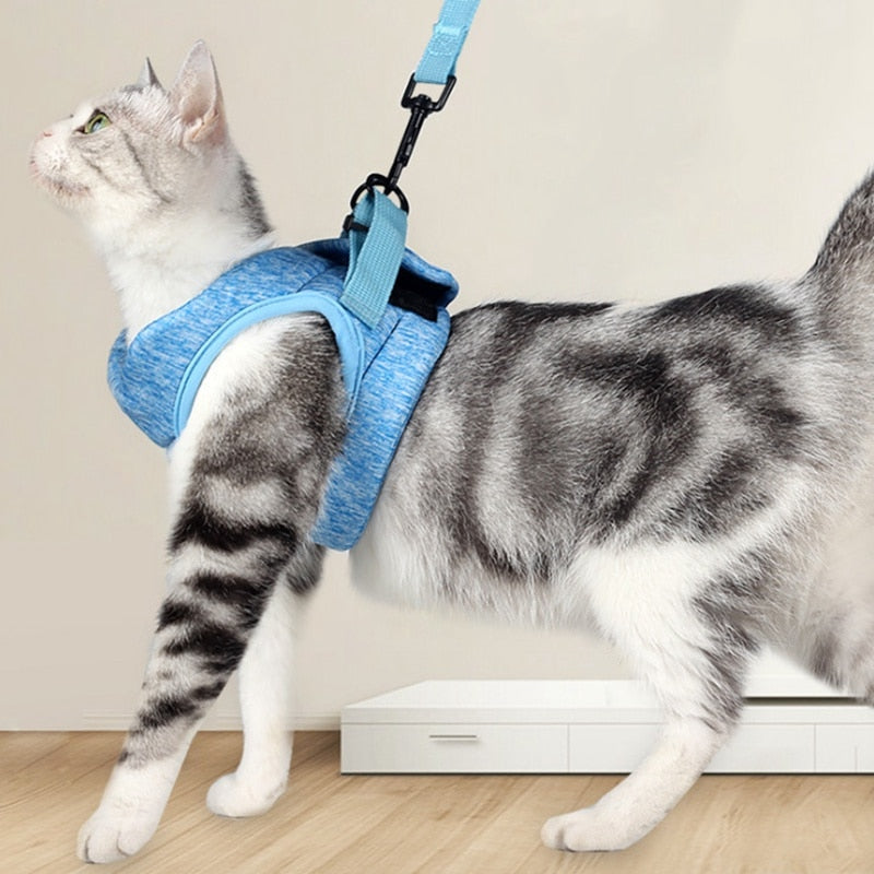 Cat Lightweight Harness