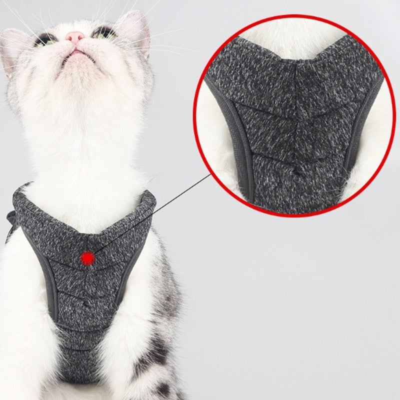 Cat Lightweight Harness