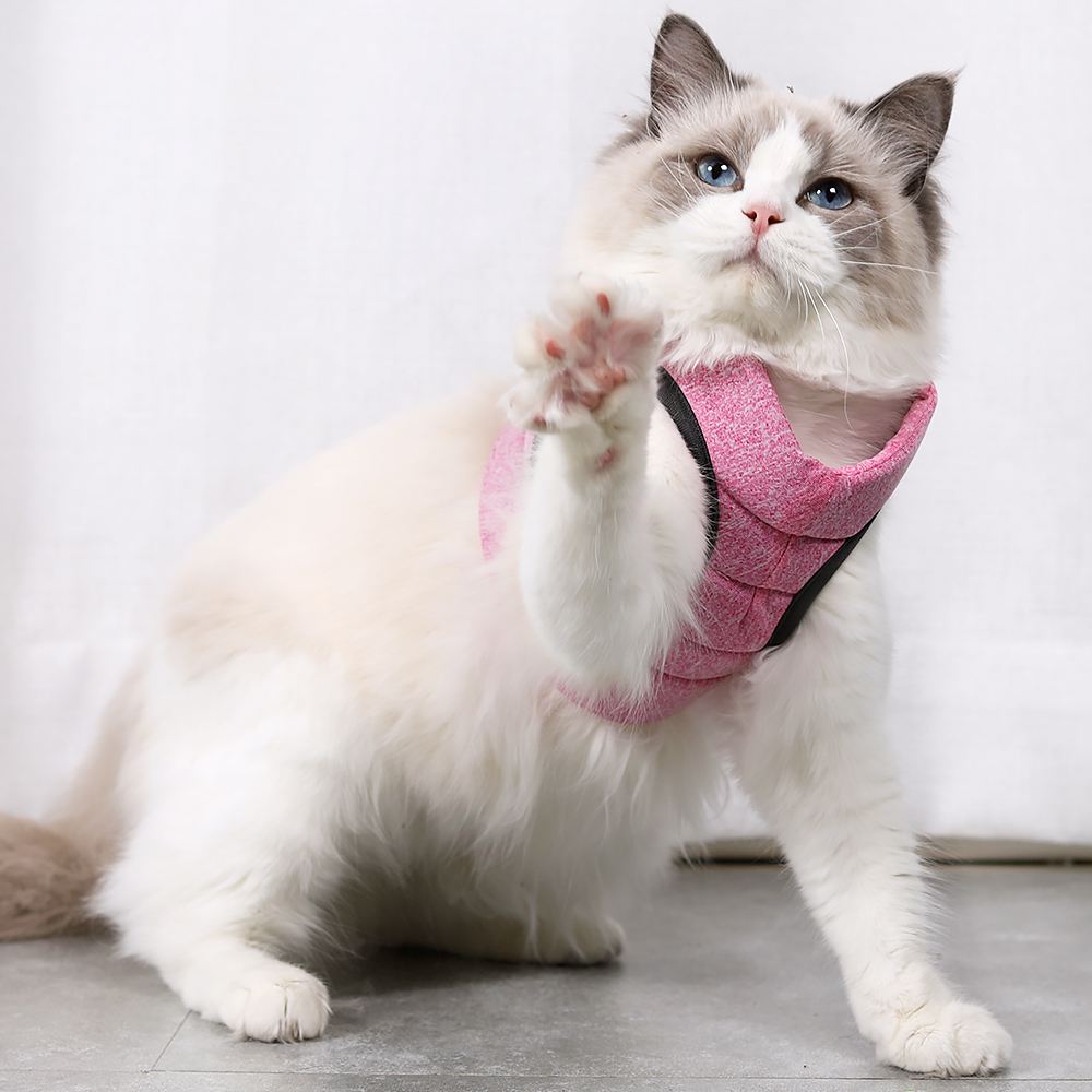 Cat Lightweight Harness