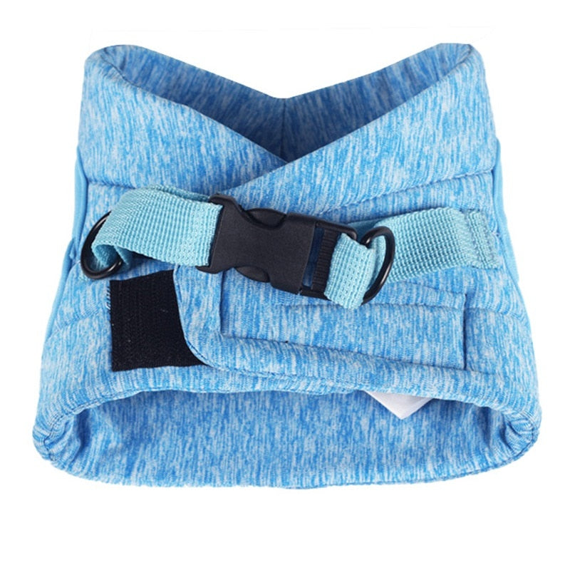 Cat Lightweight Harness