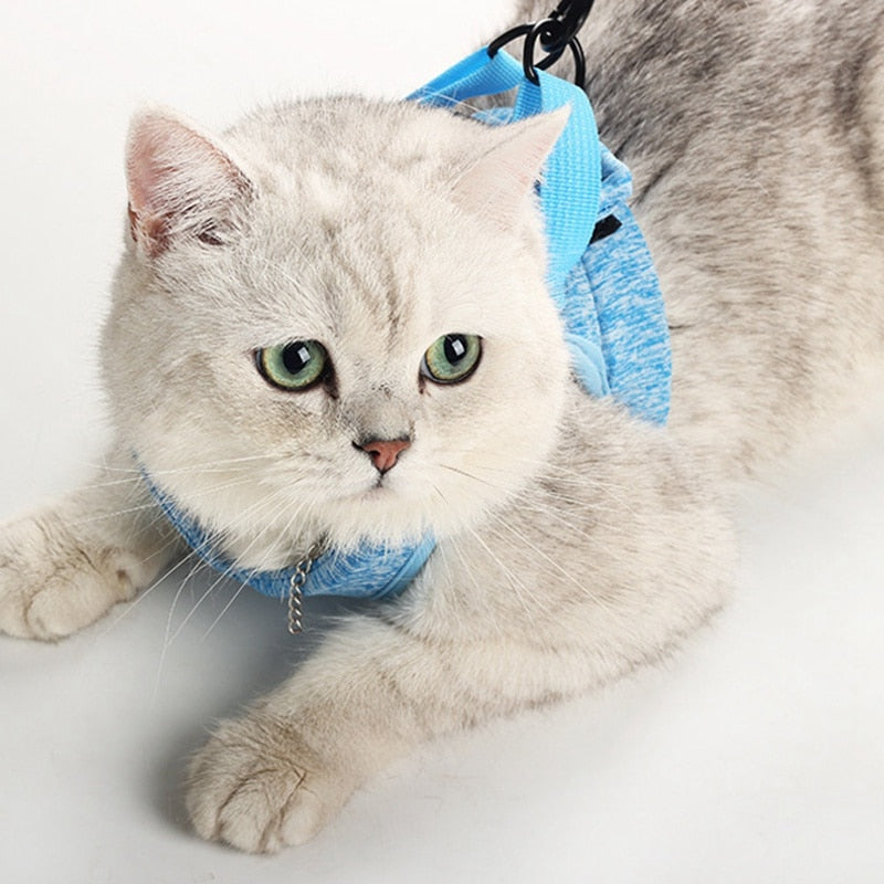 Cat Lightweight Harness