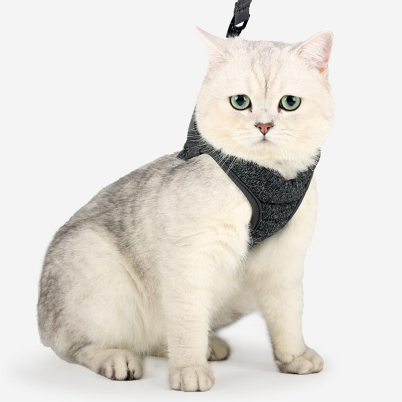 Cat Lightweight Harness