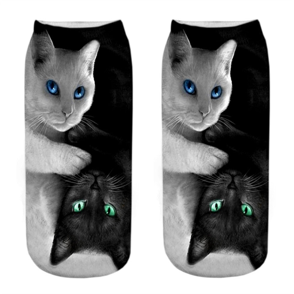 Cat Picture on Socks